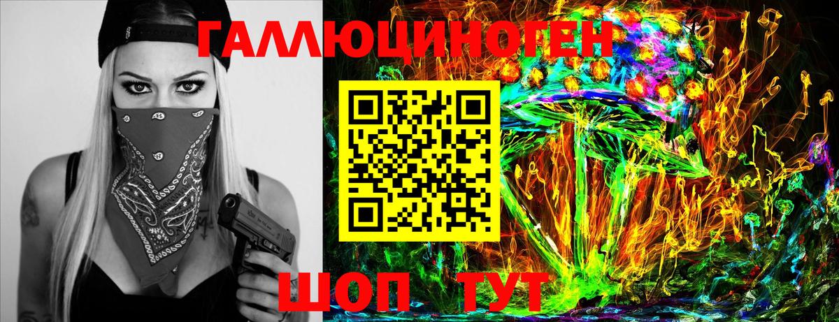 Галлюциногенные грибы Psilocybine cubensis Славгород