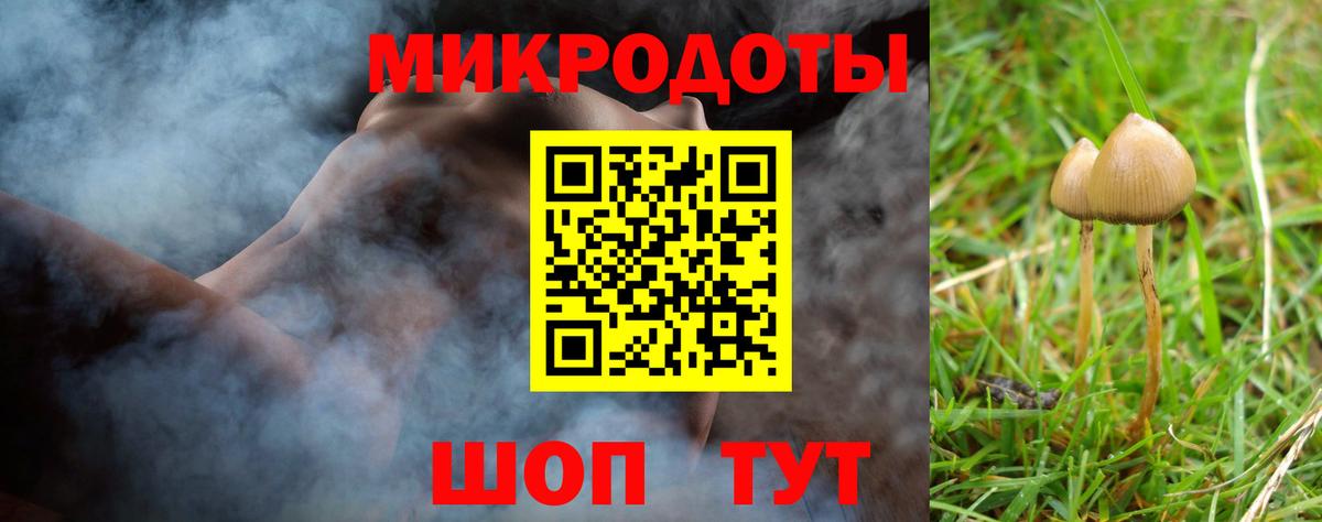Славгород  Галлюциногенные грибы прущие грибы  Вход с VPN  Псилоцибиновые грибы GOLDEN TEACHER 